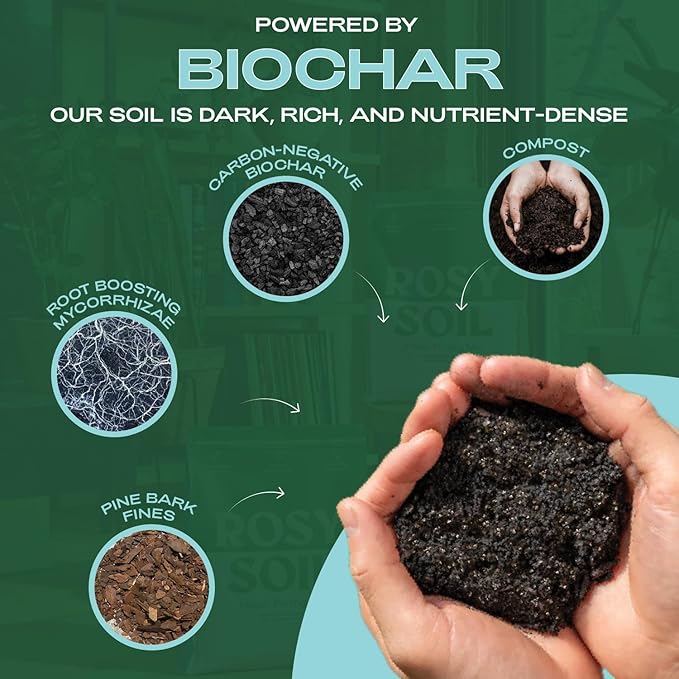 Rosy Soil Biochar Booster 8qt + Indoor Potting Mix 8qt for Houseplant - Peat Free Organic Living Soil with Worm Castings, Mycorrhizae, Pine Bark Fines - Fast Draining, Root Boosting Biochar Supplement