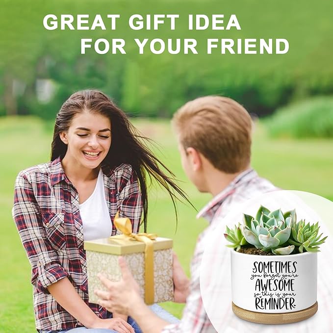 Aryabtya Cute Succulent Planter, Flower Cactus Plant Pot Gifts, Thank You Inspirational Gifts for Women Men Coworkers Teachers Plant Lovers, Office Home Windowsill Indoor Decor (No Plants)