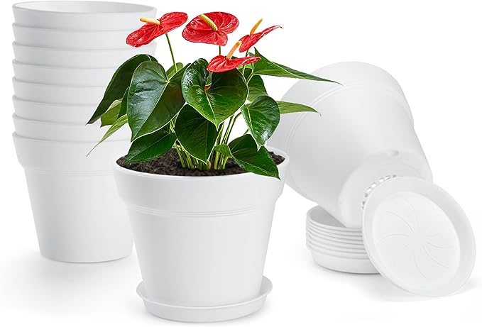 FHWTY 10 Pack Plastic Plant Pots with Drainage Holes and Tray, 6 inch Thickened Indoor Planters Seedlings Nursery Pots for Flowers, African Violet, Succulent and All House Plants, White