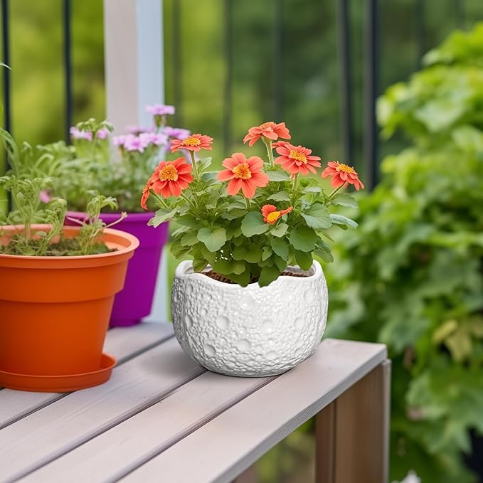 Thirtypot Ceramic Pots for Plants - 6 Inch Plant Pot for Indoor Outdoor, Decorative Orchid Pots with Drainage Hole, Unique Round Modern Planters, Home Decor, Gifts for Plant Lovers, White