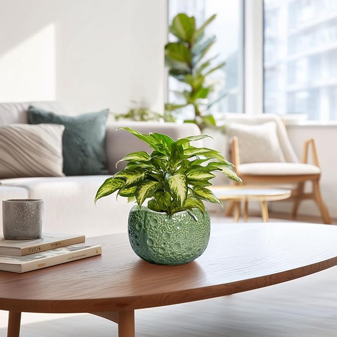 Thirtypot 6 Inch Plant Pot - Orchid Pot with Drainage Hole, Ceramic Planter for Indoor Outdoor, Decorative Plant Pots, Modern Round Unique Flower Pots, Living Room Decor, Gifts for Women Men, Green