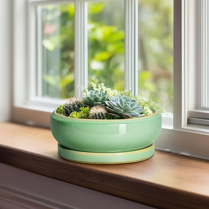 EPFamily Succulent Planters - 8 Inch Ceramic Bonsai Pots with Drainage Hole and Plant Tray, Round Planter for Indoor Outdoor Plants, Shallow Planter Bowl, Room Decor, Housewarming Gifts, Light Green