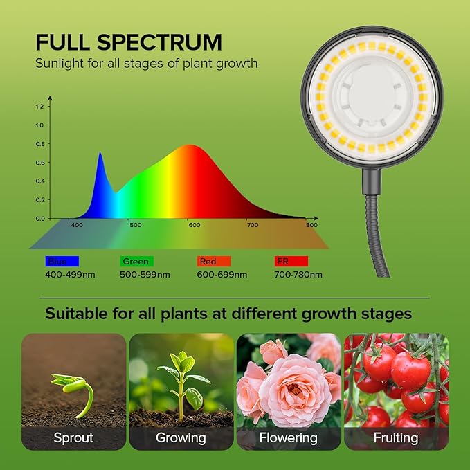 SGLEDs Desktop Plant Grow Light,12w Growing Lamps High Ppfd,Full Spectrum Desk Growth Light with Automatic Timer,4 Dimmable Levels（Black