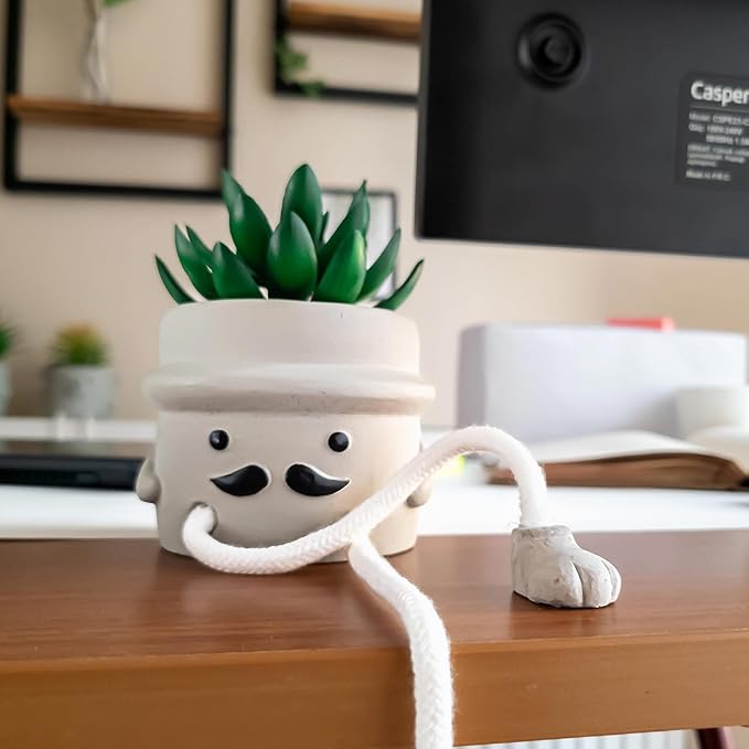OLEEK Small Fake Plant Office Desk Decor - Desk Plants for Office Decorations for Work - Decorative Plants Decor - Funny Office Decor for Women - Fake Succulents Plants Artificial Home Decor Shelf