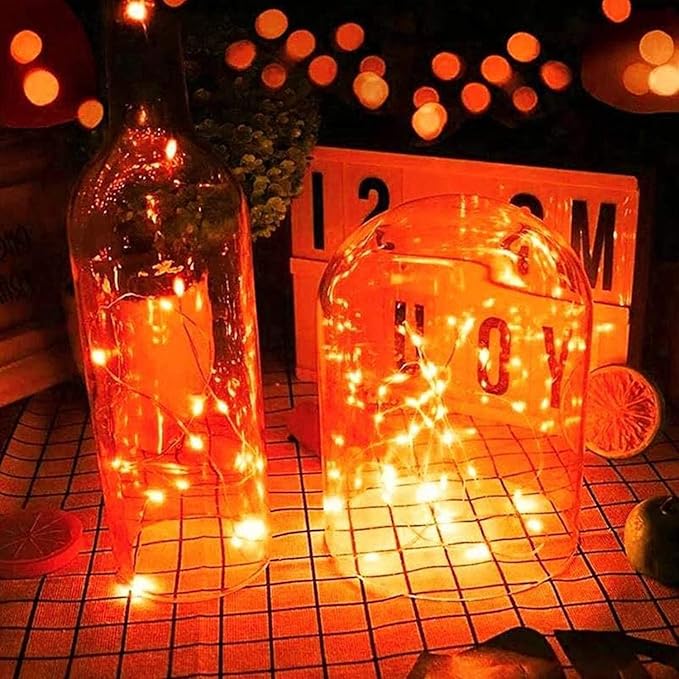 RUICHEN Silver Wire 33 Ft 100 LED USB Fairy String Lights with On/Off Switch (Orange)
