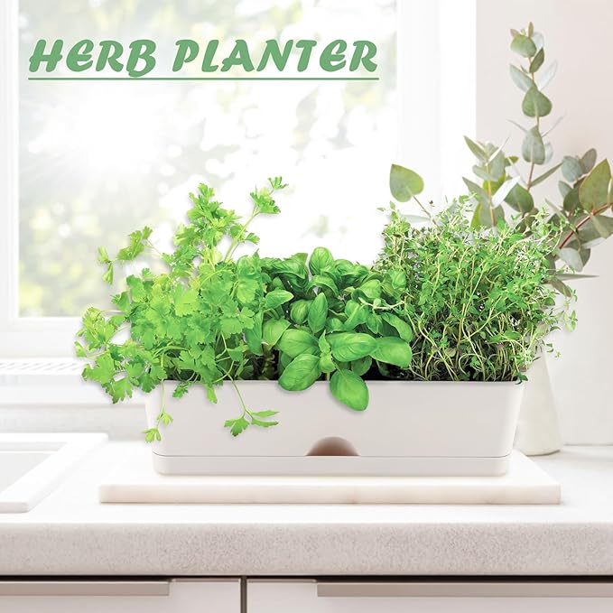 6-pack Large Window Boxes Planters 16 Inch Rectangle Plant Box Rectangular Planters for Outdoor and Indoor Plants Plastic Windowsill Planter for Herbs Vegetable Flowers Long Window Sill Planters