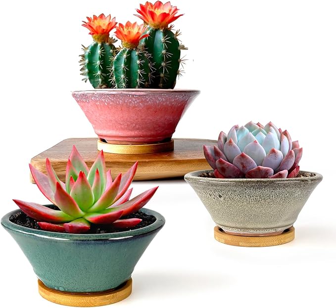 Summer Impressions 6 Inch Glazed Terracotta Succulent Pot Planter Small Plant Pot with Drainage Hole and Bamboo Saucer Cactus Ceramic Pot Set of 3 (Light Green Pink White)