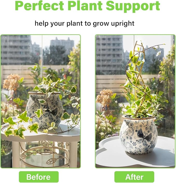 Plant Stakes for Indoor Plants,3 Pcs DNA Helix Metal Plant Trellis,Easy Installation and Durable Climbing Plant Holder,Potted Plant Holder Stakes for Garden,Yard,Balcony,Indoor & Outdoor Use