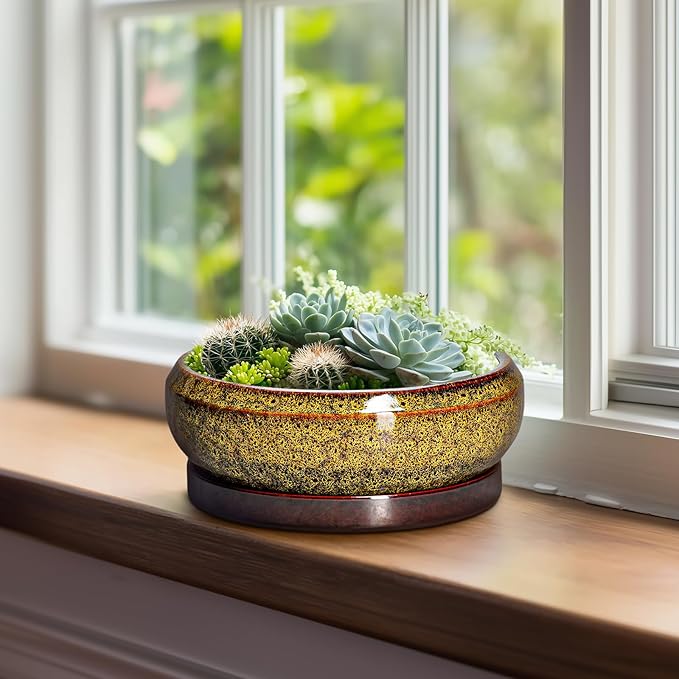 EPFamily Succulent Planters 8 Inch - Ceramic Bonsai Pots with Drainage Hole and Tray, Shallow Plant Pot Indoor Outdoor, Round Succulent Pots, Planter Bowl, Porch Decor, Housewarming Gifts, Yellow