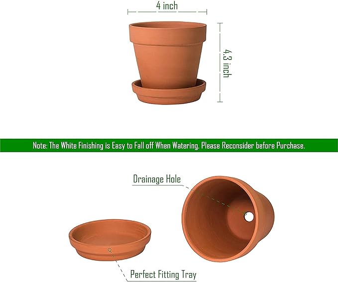 D'vine Dev Pack of 6 Terracotta Pots with Saucers, 4 Inches Terra Cotta Pots with Tray, Clay Pots for Plants & Succulents, Terracotta, 588-A-1-4