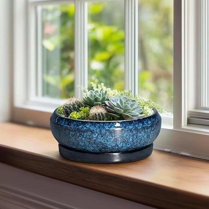 EPFamily Bonsai Pots 8 Inch - Ceramic Succulent Planter for Indoor Outdoor, Round Bonsai Planter with Drainage Hole and Saucer, Shallow Ceramic Planters Bowl, Patio Decor, Housewarming Gift, Blue