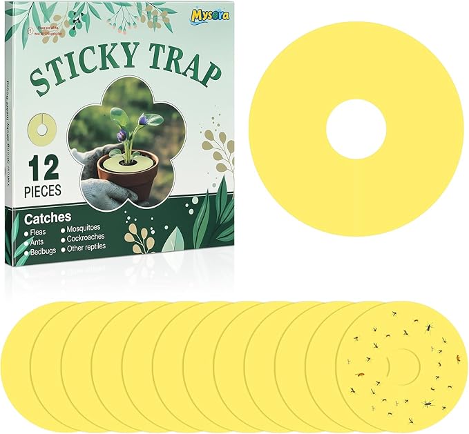 Mysora 12 Pcs Fruit Fly Traps Fungus Gnat Sticky Traps Yellow Round Ring for Pot Plants Indoor Outdoor Mosquito Flying Insects (L)