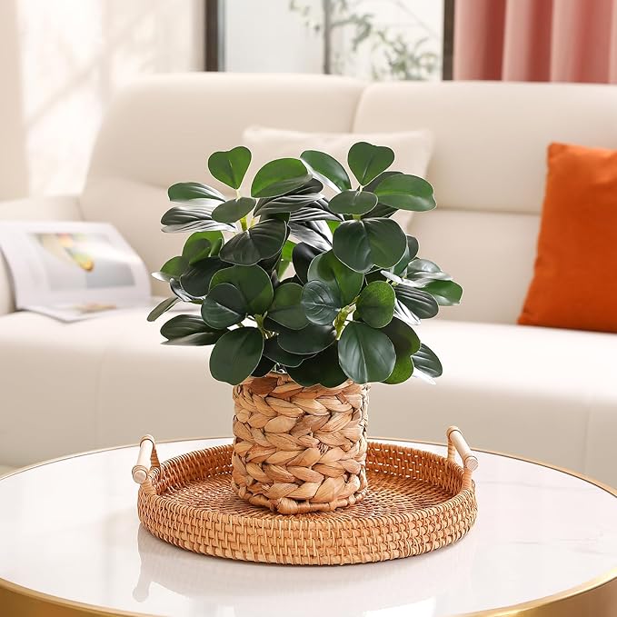 Artificial Plants Decor Greenery Indoor Fake Ficus Tree Small Fake Plants Braided Potted Fake Plants, Decor for Farmhouse-Style Bathrooms, Bedrooms, Kitchens, Offices, and Dining Tables