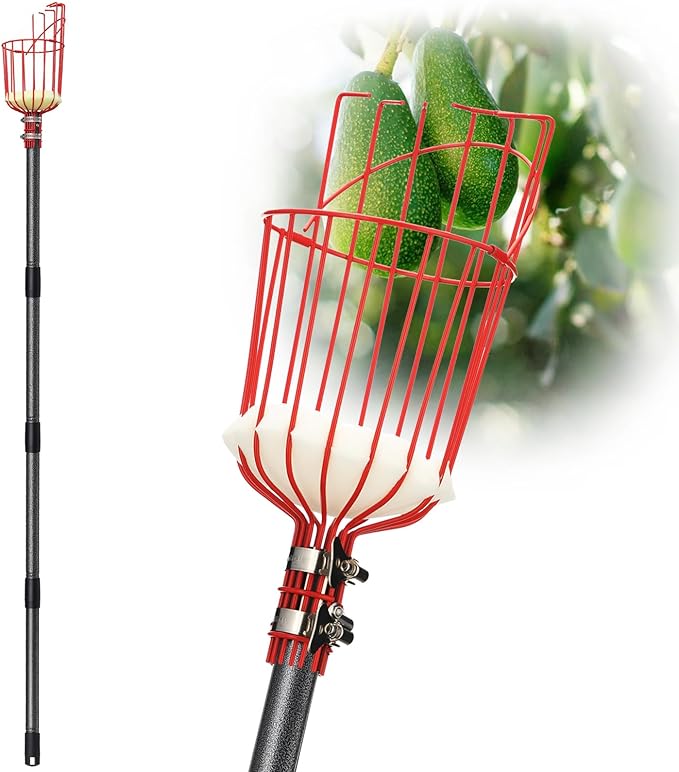 DonSail Fruit Picker Pole Tool with Basket Telescoping, Adjustable Apple Picker Pole 35-170 inch Long Handle, Mango Orange Avocado Fig Acorn Lemon Pear Pomelo Chery Picker for Tree