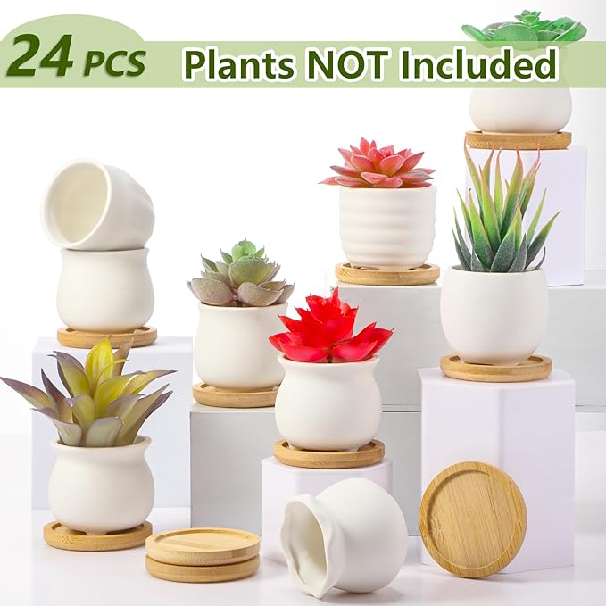 Remerry 2.5 Inch Mini White Succulent Planter Pots with Bamboo Tray Paint Your Own Ceramic Planters DIY Small Succulent Flower Plants Pot Containers Valentine Gifts for Plant Lover(Matte Style,24 Pcs)
