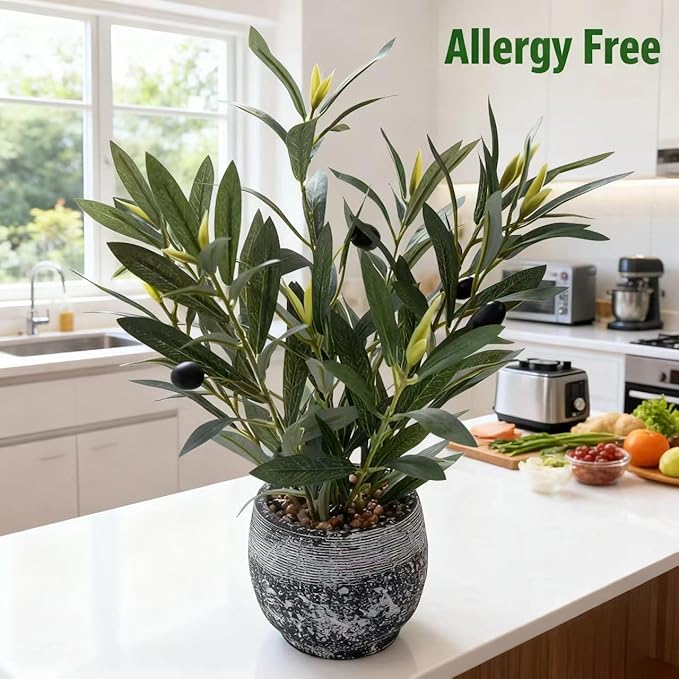 Ewtogift Indoor Faux Olive Plant 12 inch Artificial Silk Leaves in Elegant Planter Perfect Fake Olive Branches with Realistic Trunk and Lifelike Fruits Tabletop Greenery Decor for Home Office