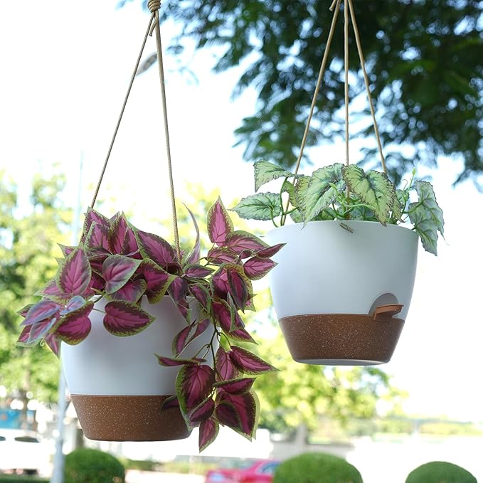 SwinDuck 8 inch Hanging Planters, 2 Pack Self Watering Hanging Pots with 20oZ Deep Reservoir for Indoor Outdoor Plants Flowers, White with Brown
