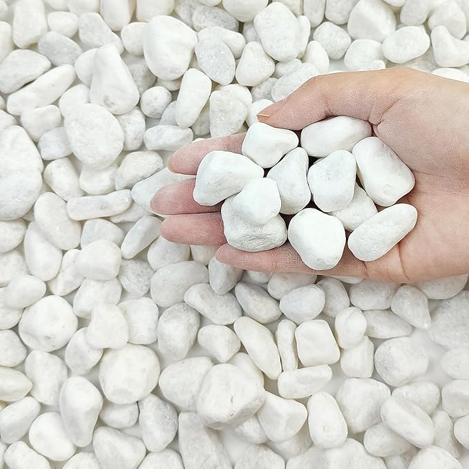FANTIAN 10 lbs White River Rocks for Garden, 0.5-1 Inch Pebbles for Indoor Plants, Decorative Stones for Landscaping, Succulent, Vases, Aquariums and Zen Garden