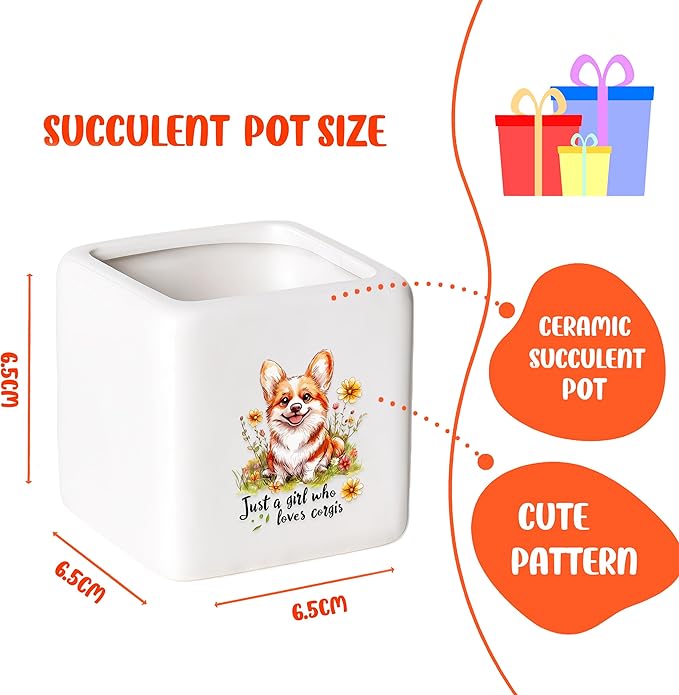 BJDAMAI Corgi Succulent Planter Flower Plant Pot Small, Gifts for Women Teens Girls Kids, Corgi Lovers Themed Stuff Accessories Things Decor Merch, Home Office Table Desk Decoration!