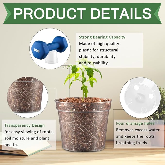 RooTrimmer 2.5" Clear Seeding Pots 100-Pack Round for Seeds Starter Pots, Seeds Germination Transparent Nursery Pot with Drainage Holes (2.5Inch,100Pcs,Clear)