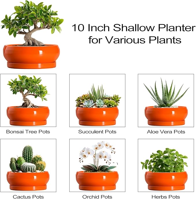 EPFamily Bonsai Tree Pots - 10 Inch Ceramic Pots for Succulent Indoor Outdoor, Bonsai Pot with Drainage Hole and Tray, Round Planter Bowl, Shallow Planter, Home Decor, Housewarming Gift, Orange