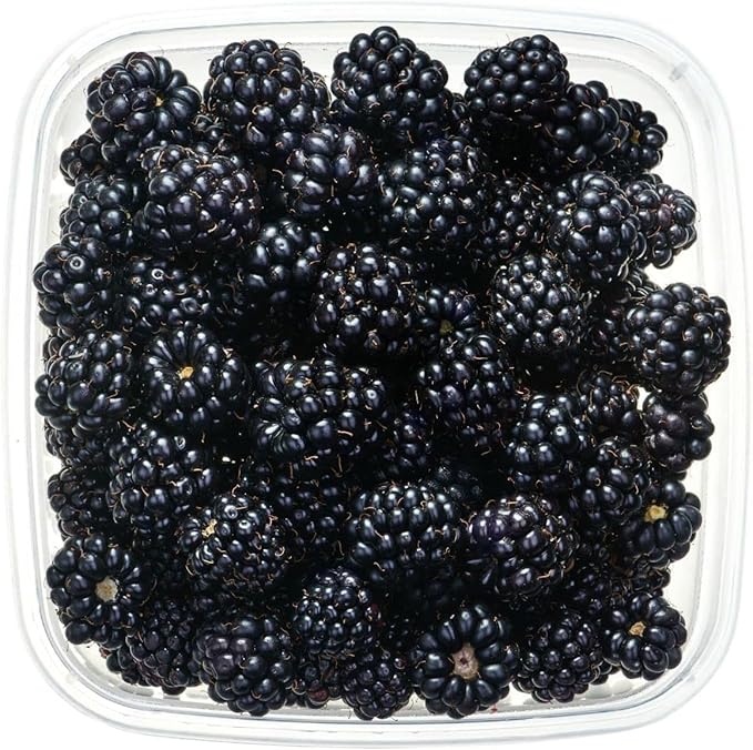 200+ BlackBerry Seeds for Planting - Non-GMO Seeds - Organic BlackBerry Seeds to Plant for Garden Outdoor - Sweet,Healthy Fruit