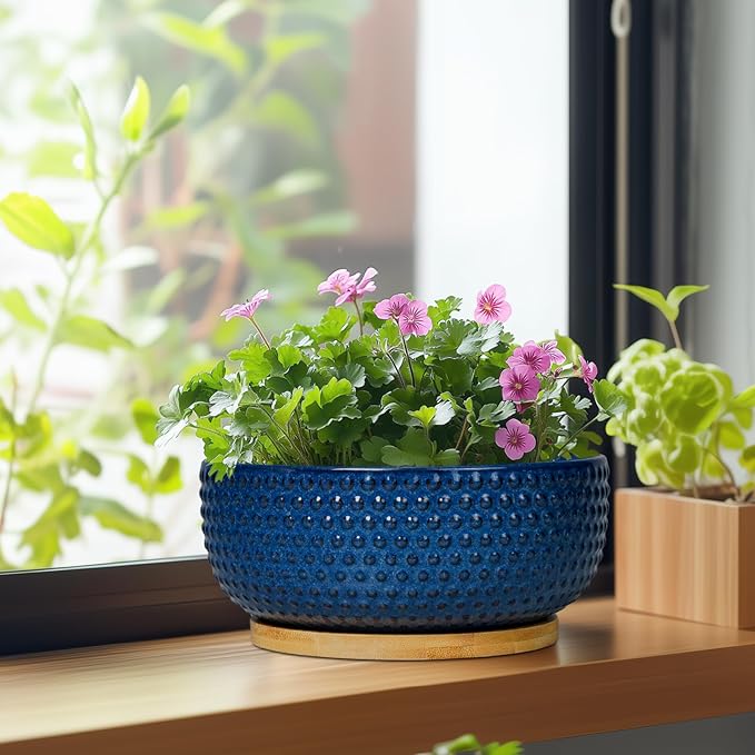 EPFamily Bonsai Pots - 8 Inch Ceramic Pots for Succulent Plants & Bonsai Tree, Planter with Drainage Hole and Saucer, Modern Round Decorative Flower Planters, House Decor, Gifts for Women Man, Blue