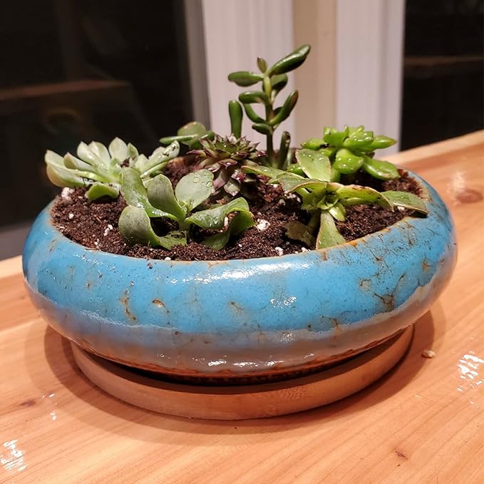 ARTKETTY Succulent Pots, 1 Rectangle Planter + 1 Ceramic Bonsai Pot with Drain Tray, 2 Pack Large Shallow Succulent Planters for Indoor Plants, Round Cactus Flower Plant Pot for Desk Windowsill Decor