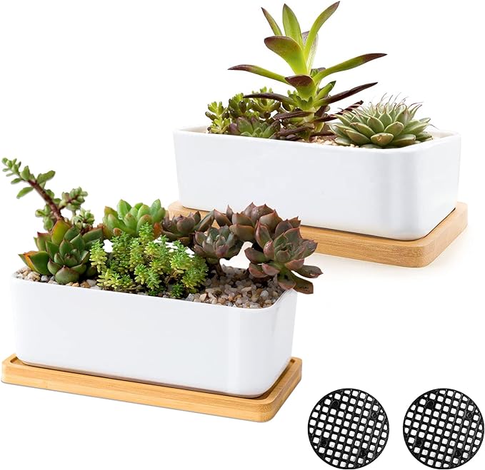ARVINKEY White Ceramic Succulent Planters, Indoor and Outdoor Succulent Planters, Set of 2 Small Cactus Containers, Bonsai Pots, Flower Pots with Drainage Hole and Bamboo Bowl (No Plant)