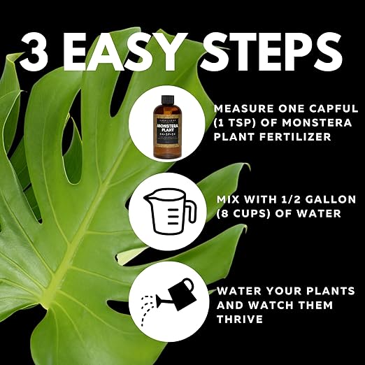 Lush Leaf | Plant Food (Monstera)