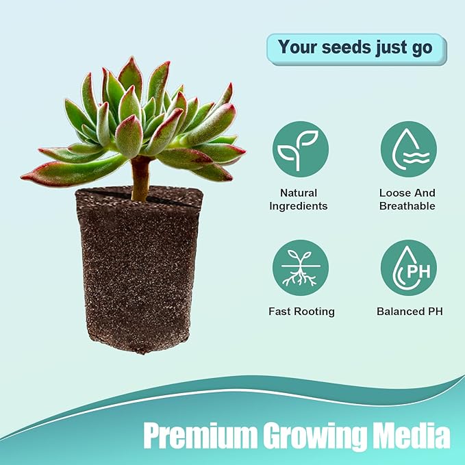 50 Pcs Square Hydroponics Pods, Seed Starter Plugs Rapid Rooter, Grow Sponges for Cactus, Succulent, Replacement Cubes for Seeds or Cuttings