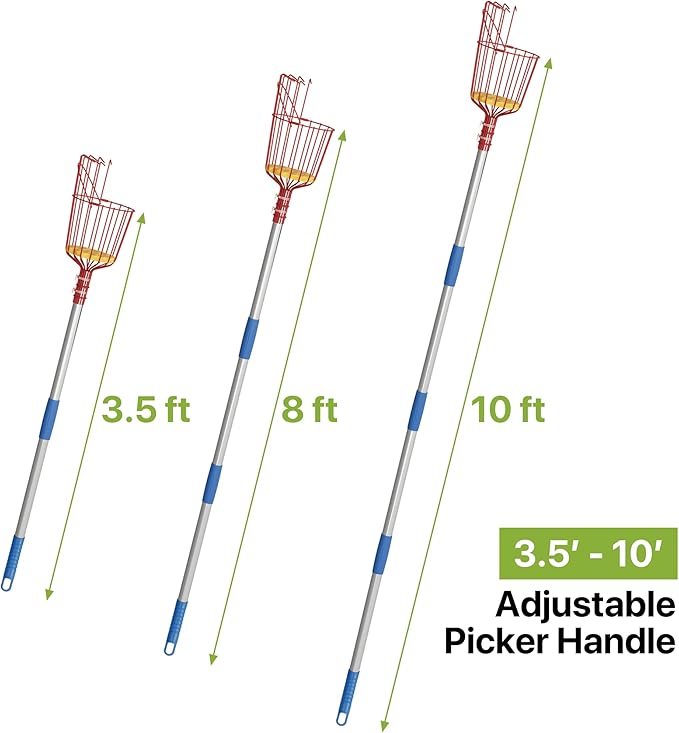 Fruit Picker Tool 10 ft Long, Extendable Fruit Picker Pole with Basket Telescoping, Apple Fruit Tree Picker Pole with Stainless Steel Pole for Mango, Orange, Fig, Lemon