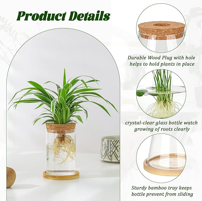 Anboliwb 6 Pcs Plants Propagation Stations Glass Planter Terrariums with Wooden Lid and Bamboo Stand Desktop Propagation Vases Jars for Plant Growing Hydroponic Home Office Tabletop Garden Decoration