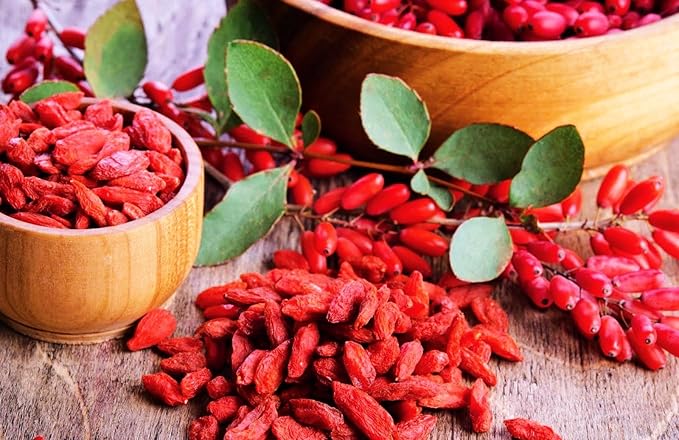TomorrowSeeds - Goji Berry Tree Seeds - 200+ Count - for 2026 Planting Lycium Chinense Superfood Wolfberry Asian Wellness Red Flowering Edible Perennial Fruit Trees Perennial Grow Your Own Home Farm
