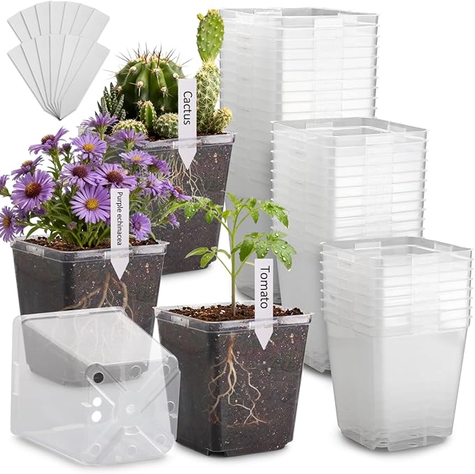 RooTrimmer 5.5 Inch Clear Square Nursery Pots with Drainage & Labels, 30Pcs Reusable Seed Starter Pots for Vegetables, Indoor Outdoor Gardening, Thick Transparent Plastic Plant Pots for Seed Starting