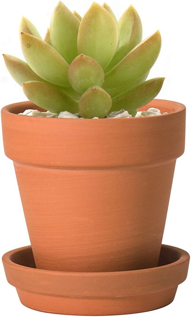 D'vine Dev Pack of 18 Terracotta Pots with Saucers, 3 Inches Terra Cotta Pots with Tray, Clay Pots for Plants & Succulents, Terracotta, 588-A-1-3