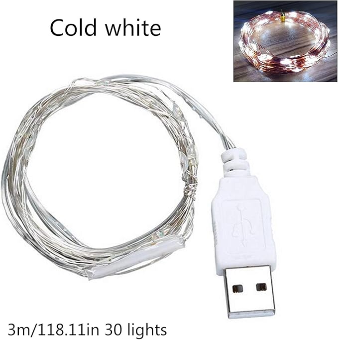 9ft USB Silver Wire LED String Lights - 30 LEDs Fairy Lights for Wedding, Party, Christmas Festival Decorations, W1