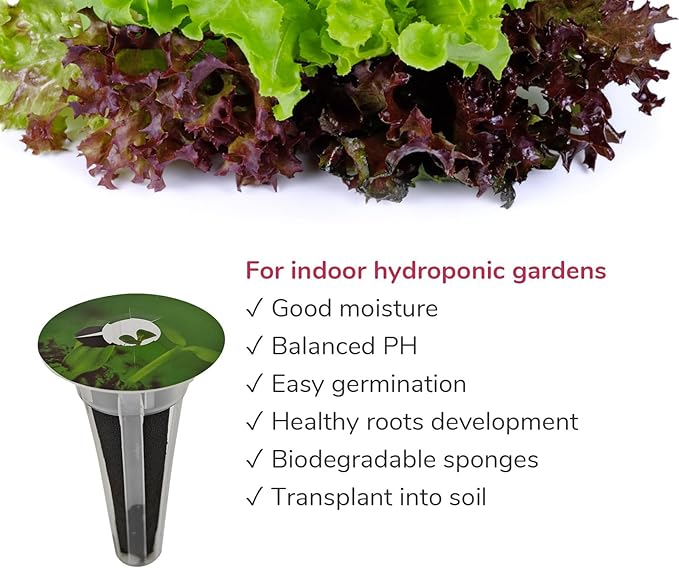 20-pod Seed Kit (Lettuce Salad Green) for AeroGarden, Mufga, iDOO and Other Indoor Hydroponic Gardens - 20 Grow Sponges, Baskets, Domes, Labels