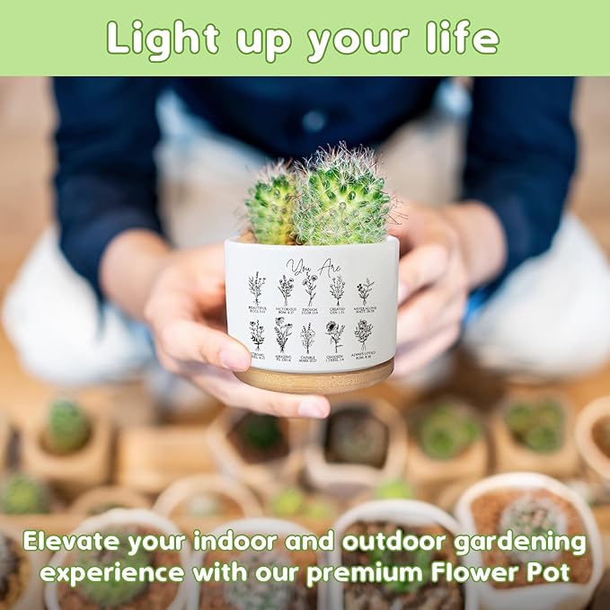 PZJIEAN You are Beautiful Succulent Plant Pot, Cute 3.5 Inch Ceramic Pot, Inspirational Christian Desk Windowsill Pots for Small Plants, Cactus Gifts Plant, Religious Planter (No Plants)