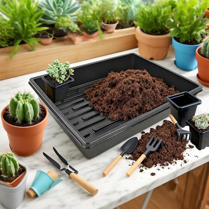 Gyfofix 2 Inch Square Plant Nursery Pots (Black+Clear),50Pcs Seedling Planter Seed Starter Pots,Sturdy Small Plastic Pots with Drainage Holes