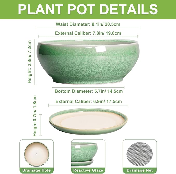 SQOWL Bonsai Planter - 8 Inch Ceramic Succulent Planters for Indoor Plants Outdoor, Shallow Round Planter with Drainage Hole and Saucer, Ceramic Bowl Planters, Home Decor, Birthday Gifts, Green