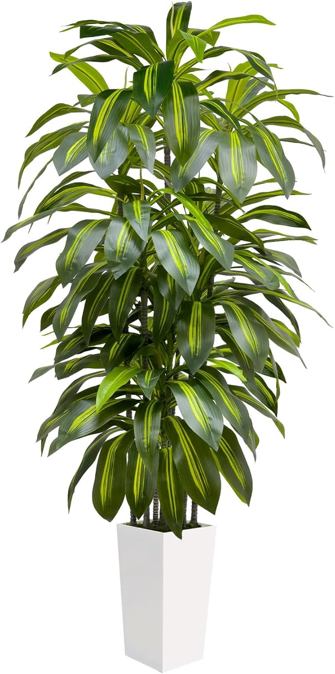 6FT Fake Tall Plant Artificial Dracaena Tree Indoor Faux Plants Indoor Luxury Fake Plants for Living Room Decor Artificial Tree Floor Plant White Planter
