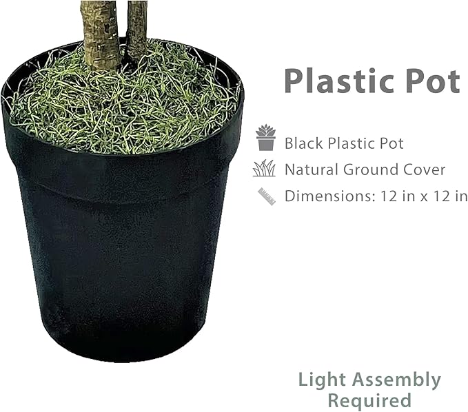 LCG Florals 6ft Artificial Ficus Tree in Black Plastic Pot - Real Wood Trunk, Preassembled, No Maintenance Indoor Faux Plant - Living Room, Home & Office Decor