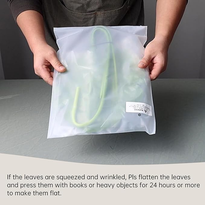 5pcs Artificial Monstera Leaves with Long Stem for Vase - Fake Tropical Plants Palm Leaves Realistic Turtle Leaves for Birthday Party Wedding Room Decor
