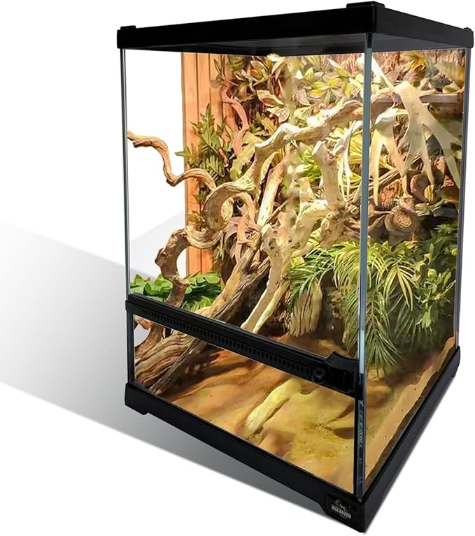 waazoorep Reptile Glass Terrarium Tank 10 * 10 * 14in, Full View with Front Opening Door,Amphibians Enclosure Habitat Cage for Crested Gecko,Spider,Tarantula,Lizard,Hermit Crab,Frog,Mantises,Insects