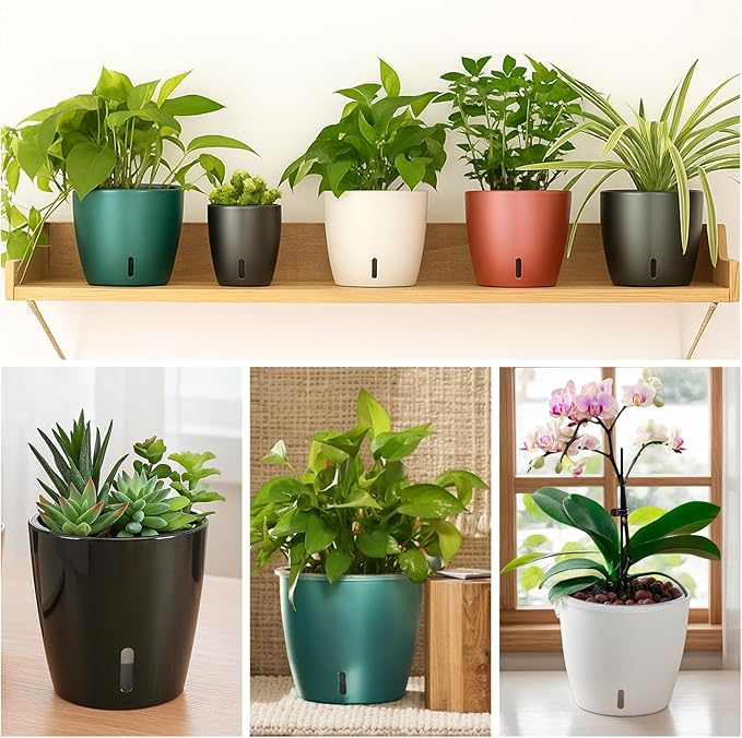 KvyusFlourish Self Watering Pots for Indoor Plants, 12-Pack 5'' Self Watering Planter with Drainage Holes, Small African Violet Pots with Water Level Indicator, Clear Wick Pot, White/Black