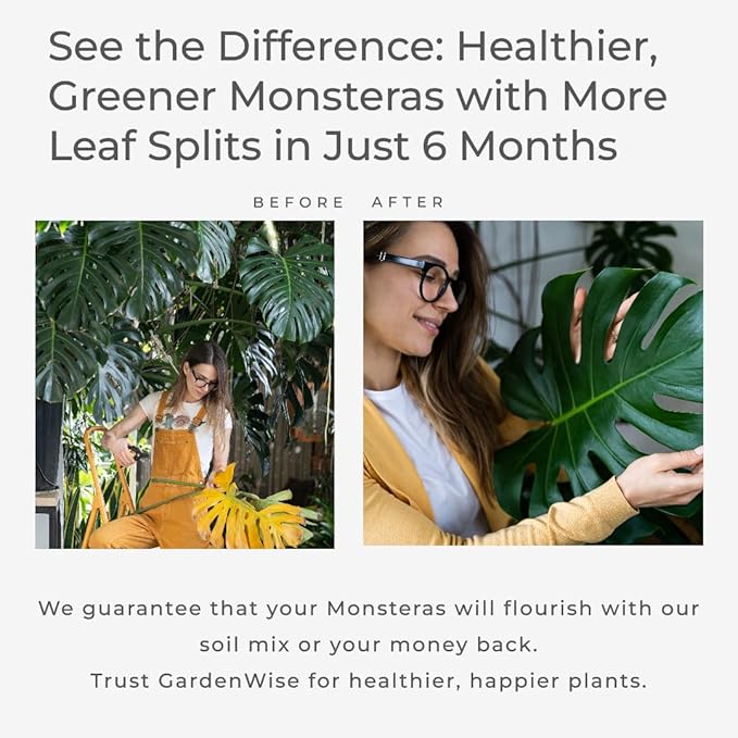 GARDENWISE Monstera Potting Soil Mix – Organic, Fast-Draining, Chunky Soil with Coconut Coir & New Zealand Bark for Indoor Plants – Premium Fertilizer for Monstera Deliciosa, Albo & More (10 quarts)