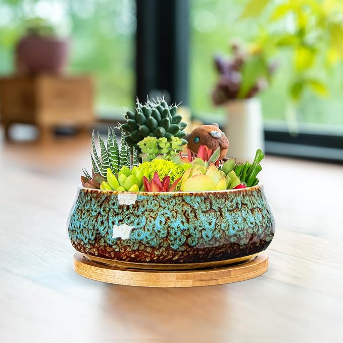 ARTKETTY Succulent Pots - 8 Inch Plant Pot, Large Bonsai Pots with Drainage Tray, Ceramic Planters for Indoor Outdoor Plants, Round Shallow Cactus Flower Plant Container Bowl Decorative Home Garden