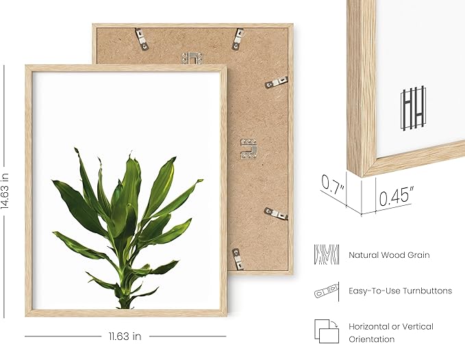 HAUS AND HUES Plant Wall Art - Set of 4 Green Plant Pictures Collection, Botanical Prints, Sage Green Leaves Paintings, Minimalist Wall Decor (11x14, Beige Frame)