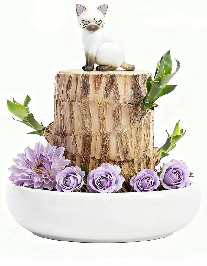 Brazilian Lucky Wood Live Plant | Easy Care Good Luck Indoor Decor | Beginner-Friendly (0-Failure Grow) | Fast Leaf-Growing Feng Shui Wealth Charm (Cat)